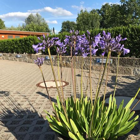 Апартаменты Kaitzbach-Idylle Дрезден Экстерьер фото